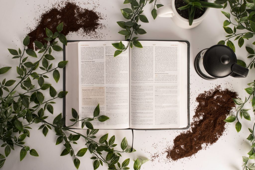 shelby miller SkOiBDYgXdI unsplash
