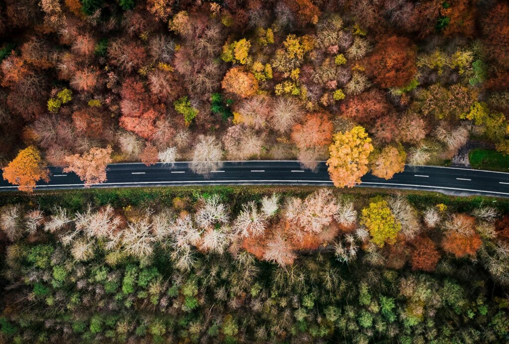 fabio jock eFHp9s4sdLg unsplash
